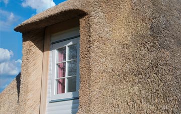 Broomley thatch roof disadvantages
